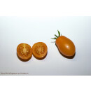 GS 4 (orange Cherry)