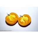 Orange à gros fruits