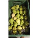 Chayote (Chouchou, Christophine) (Sechium edule)