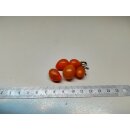 Wildtomate Mini Parvula