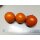 Q-series Panamorous Tomato Breeding Population